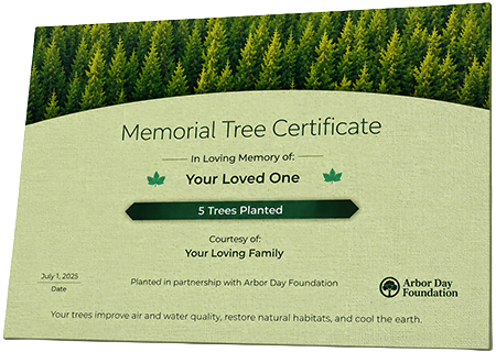 Plant Trees in Memory of Eddie Leonard Sr.